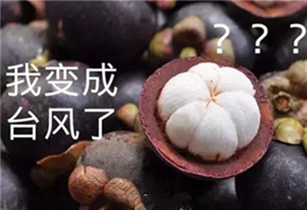 “山竹”還未走遠，但貝朗全自動彎線機已正常上班啦！